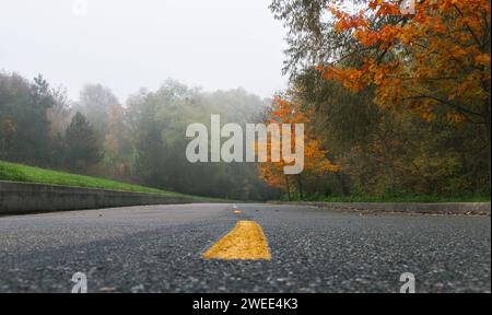 Herbst Nebel Park mit einer Asphaltstraße. Wunderschöne fabelhafte Landschaft mit Herbstpark, Wald, Nebel und Asphaltweg. Stockfoto