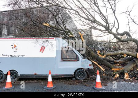 Ein umgestürzter Baum auf einem Van auf der Trennant Avenue in East Kilbride, da Schottland aufgrund des Namens Jocelyn starke Winde im ganzen Land hat. Quelle: Euan Cherry Stockfoto