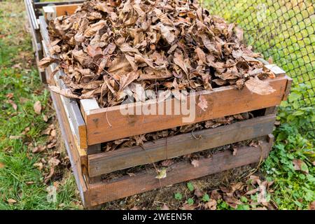 Ein Komposter aus Holzbrettern, gefüllt mit trockenen Blättern. Stockfoto