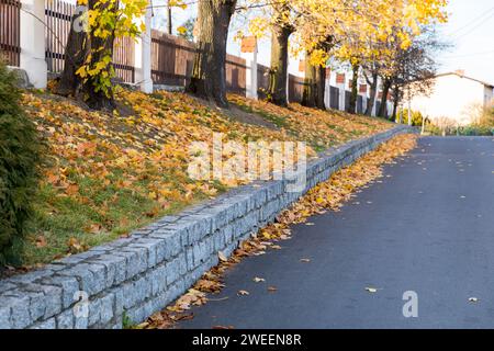 Die Straße ist mit Herbstblättern bedeckt. Stockfoto