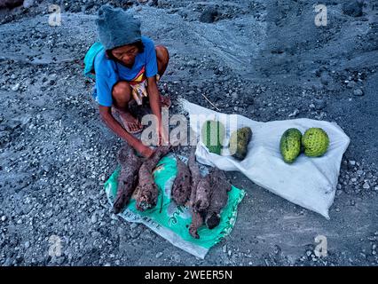 Soursop zum Verkauf in Mount Pinatubo, Zambales, Luzon, Philippinen Stockfoto