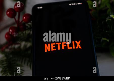 Polen. Januar 2024. In dieser Abbildung wird ein Netflix-Logo auf einem Smartphone angezeigt. Quelle: SOPA Images Limited/Alamy Live News Stockfoto