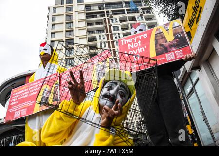 Bandung, West-Java, Indonesien. Januar 2024. Aktivisten führen eine friedliche Demonstration vor dem McDonald's Indonesia Fast Food Restaurant in Bandung durch. Die Aktion der Organisation Animal Friends Jogja, die sich für Tierrechte und -Schutz einsetzt, zielt darauf ab, McDonald's Indonesien aufzufordern, das Leiden von Legehennen in Käfigen oder Käfigen sofort zu beenden und sofort eine käfigfreie Verpflichtung abzugeben. (Kreditbild: © Dimas Rachmatsyah/ZUMA Press Wire) NUR REDAKTIONELLE VERWENDUNG! Nicht für kommerzielle ZWECKE! Stockfoto