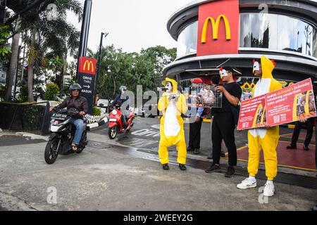 Bandung, West-Java, Indonesien. Januar 2024. Aktivisten führen eine friedliche Demonstration vor dem McDonald's Indonesia Fast Food Restaurant in Bandung durch. Die Aktion der Organisation Animal Friends Jogja, die sich für Tierrechte und -Schutz einsetzt, zielt darauf ab, McDonald's Indonesien aufzufordern, das Leiden von Legehennen in Käfigen oder Käfigen sofort zu beenden und sofort eine käfigfreie Verpflichtung abzugeben. (Kreditbild: © Dimas Rachmatsyah/ZUMA Press Wire) NUR REDAKTIONELLE VERWENDUNG! Nicht für kommerzielle ZWECKE! Stockfoto