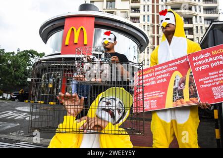 Bandung, West-Java, Indonesien. Januar 2024. Aktivisten führen eine friedliche Demonstration vor dem McDonald's Indonesia Fast Food Restaurant in Bandung durch. Die Aktion der Organisation Animal Friends Jogja, die sich für Tierrechte und -Schutz einsetzt, zielt darauf ab, McDonald's Indonesien aufzufordern, das Leiden von Legehennen in Käfigen oder Käfigen sofort zu beenden und sofort eine käfigfreie Verpflichtung abzugeben. (Kreditbild: © Dimas Rachmatsyah/ZUMA Press Wire) NUR REDAKTIONELLE VERWENDUNG! Nicht für kommerzielle ZWECKE! Stockfoto