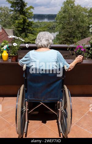 Rückansicht einer alten Frau im Rollstuhl, die Blumen in einen kleinen Terrassengarten pflanzt Stockfoto