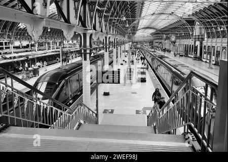 Allgemeine Innenansicht der Paddington Station. Stockfoto