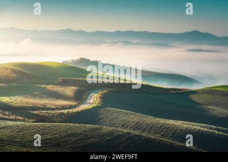 Nebelige Landschaft in Volterra bei Sonnenaufgang. Sanfte Hügel und eine Straße. Toskana, Italien, Europa Stockfoto