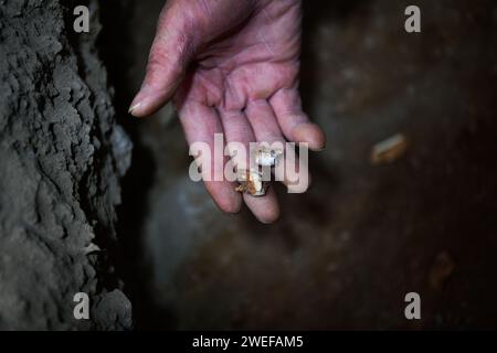 (240125) -- PUDING, 25. Januar 2024 (Xinhua) -- dieses Foto vom 24. Januar 2024 zeigt archäologische Proben, die von Chuandong Site im Bezirk Puding in der Provinz Guizhou im Südwesten Chinas gefunden wurden. Große Mengen von Artefakten aus Stein, Knochen und Horn wurden auf der Chuandong Site im Puding County, Provinz Guizhou im Südwesten Chinas, gefunden, was auf prähistorische menschliche Aktivitäten hindeutet, die mehr als 55.000 Jahre zurückreichen.Chuandong Site, erstmals 1978 entdeckt, es wird angenommen, dass es am Ende der mittleren Paläolithik, der späten Paläolithik und der Neolithik existierte. Über zwei Jahre Stockfoto