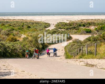 Menschen, die mit dem Fahrrad auf den steilen Hügel von Duinhoevepad in Dünen nahe Renesse auf Schouwen-Duiveland, Zeeland, Niederlande, wandern Stockfoto