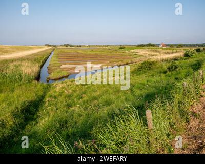 Blick auf das Naturschutzgebiet Westenschouwense Inlaag und Karrevelden in der Nähe von Burgh-Haamstede, Schouwen-Duiveland, Zeeland, Niederlande Stockfoto