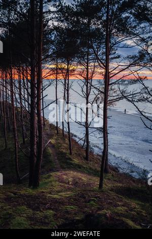 Blick auf einen sauberen Strand bei Sonnenuntergang durch einen Wald Stockfoto