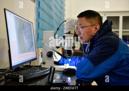 (240125) -- PUDING, 25. Januar 2024 (Xinhua) -- Zhang Xinglong, ein Experte des Instituts für kulturelle Relikte und Archäologie der Provinz Guizhou, untersucht archäologische Proben, die am Standort Chuandong unter einem Mikroskop in Puding County, Provinz Guizhou im Südwesten Chinas, am 24. Januar 2024 gefunden wurden. Große Mengen von Artefakten aus Stein, Knochen und Horn wurden auf der Chuandong Site im Puding County, Provinz Guizhou im Südwesten Chinas, gefunden, was darauf hindeutet, dass prähistorische menschliche Aktivitäten mehr als 55.000 Jahre zurückreichen.Chuandong Site, die erstmals 1978 entdeckt wurde, hat vermutlich überall im en existiert Stockfoto