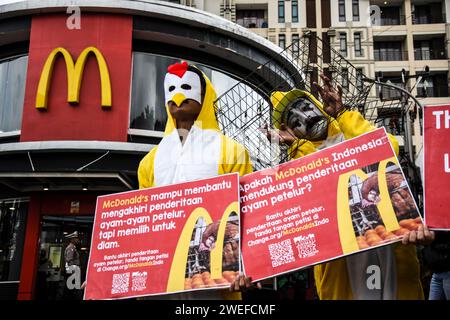 Bandung, Indonesien. Januar 2024. Aktivisten, die Mitglieder von Animal Friends Jogja sind, führen am 25. Januar 2024 eine Aktion vor dem indonesischen Fast-Food-Restaurant McDonald's in Bandung, West-Java, Indonesien durch. Diese Aktion erfordert die Verpflichtung von McDonald's Indonesien, Eier aus Käfigzuchtbetrieben zu verwenden, um das Leiden von Legehennen in Käfigen zu beenden, deren Leben elend ist. (Foto: Dimas Rachmatsyah/SIPA USA) Credit: SIPA USA/Alamy Live News Stockfoto