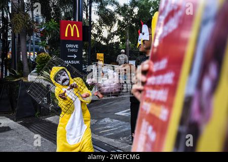 Bandung, Indonesien. Januar 2024. Aktivisten, die Mitglieder von Animal Friends Jogja sind, führen am 25. Januar 2024 eine Aktion vor dem indonesischen Fast-Food-Restaurant McDonald's in Bandung, West-Java, Indonesien durch. Diese Aktion erfordert die Verpflichtung von McDonald's Indonesien, Eier aus Käfigzuchtbetrieben zu verwenden, um das Leiden von Legehennen in Käfigen zu beenden, deren Leben elend ist. (Foto: Dimas Rachmatsyah/SIPA USA) Credit: SIPA USA/Alamy Live News Stockfoto