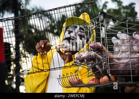 Bandung, Indonesien. Januar 2024. Aktivisten, die Mitglieder von Animal Friends Jogja sind, führen am 25. Januar 2024 eine Aktion vor dem indonesischen Fast-Food-Restaurant McDonald's in Bandung, West-Java, Indonesien durch. Diese Aktion erfordert die Verpflichtung von McDonald's Indonesien, Eier aus Käfigzuchtbetrieben zu verwenden, um das Leiden von Legehennen in Käfigen zu beenden, deren Leben elend ist. (Foto: Dimas Rachmatsyah/SIPA USA) Credit: SIPA USA/Alamy Live News Stockfoto