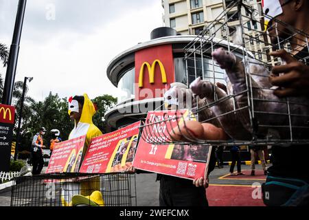 Bandung, Indonesien. Januar 2024. Aktivisten, die Mitglieder von Animal Friends Jogja sind, führen am 25. Januar 2024 eine Aktion vor dem indonesischen Fast-Food-Restaurant McDonald's in Bandung, West-Java, Indonesien durch. Diese Aktion erfordert die Verpflichtung von McDonald's Indonesien, Eier aus Käfigzuchtbetrieben zu verwenden, um das Leiden von Legehennen in Käfigen zu beenden, deren Leben elend ist. (Foto: Dimas Rachmatsyah/SIPA USA) Credit: SIPA USA/Alamy Live News Stockfoto