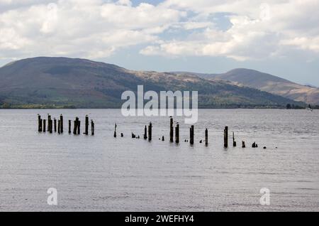 Alte, verwitterte und untergetauchte Pfähle, alles, was von einem vor langer Zeit verbliebenen Pier in Loch Lommond aus gesehen von der Stadt Balloch in den schottischen Highlands Stockfoto