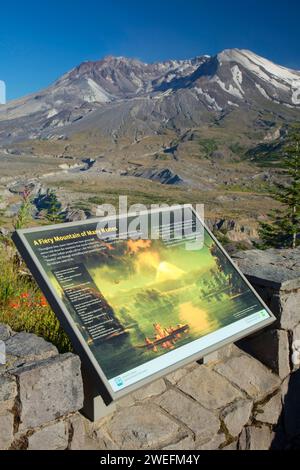 Blick auf den Mount St Helens mit Aussichtstafel vom Loowit Aussichtspunkt, Spirit Lake Memorial Highway, Mt St Helens National Volcanic Monument, Washington Stockfoto