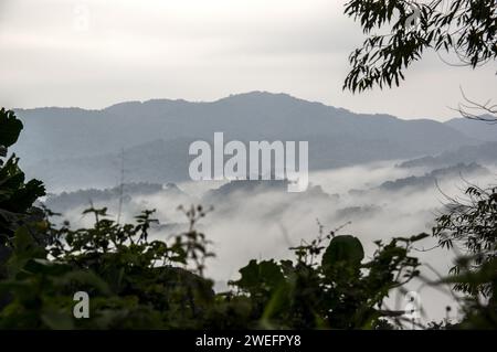 Ein nebeliger Morgen im Nyungwe-Nationalpark im Südwesten Ruandas mit nebligen Hügeln und üppigen Wäldern auf dem Weg zum Canopy Walk, einer Touristenattraktion Stockfoto