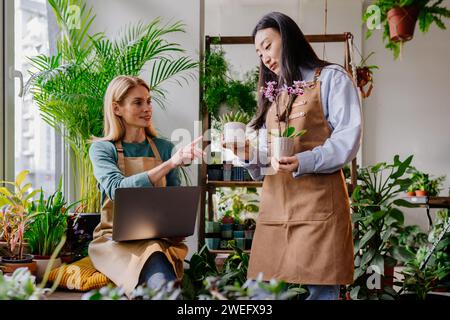 Ladenbesitzer mittelalter blonde Geschäftsfrau, die mit Laptop arbeitet und sich um die Pflanzen im Topf kümmert. Ihre Assistentin hilft bei der Inventur bei Cozy Stockfoto