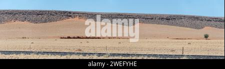 Landschaft mit rotem Sand und Basaltfelsen auf Wüstenabhängen, im hellen Licht des späten Frühlings westlich von Goageb, Namibia, Afrika Stockfoto