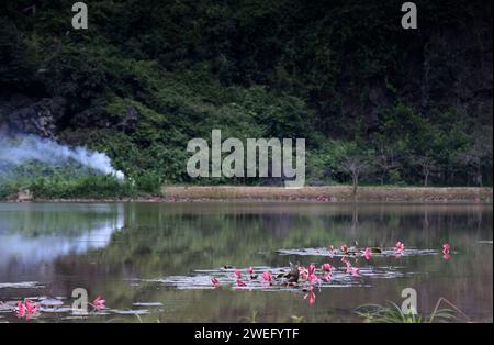 Die überfluteten Reisfelder von Ninh Binh, Vietnam Stockfoto