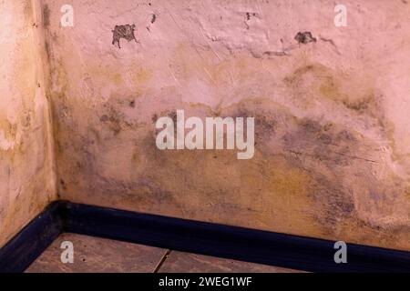 Schimmel an den Wänden im Keller eines Hauses. Stockfoto