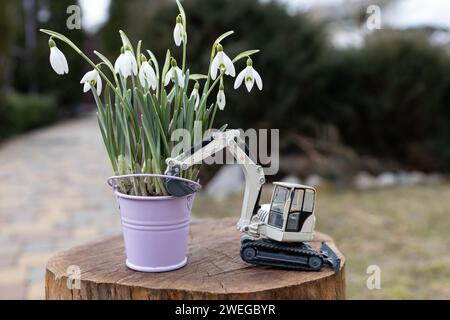 Blumenstrauß der ersten Frühlingsblumen von Schneeglöckchen in einem kleinen Eimer und einem spielzeuggrauen Bagger auf einem Stumpf Stockfoto