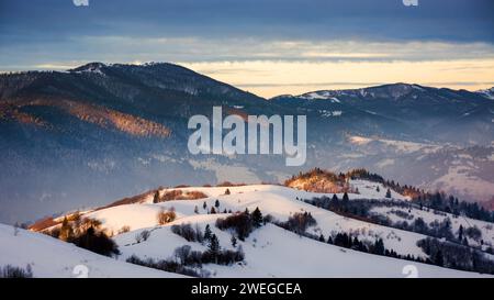 karpaten Landschaft mit schneebedeckten Hügeln im Morgenlicht. Schönheit der ukrainischen ländlichen Landschaft im Winter Stockfoto