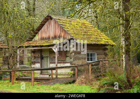 Hütte, Pioneer Farm Museum, Eatonville, Washington Stockfoto