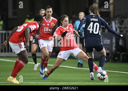 Benficas Nycole Raysla und Rosengård Bea sind am Donnerstag beim Gruppenspiel der Champions League zwischen dem FC Rosengård und SL Benfica in Malmö IP in Malmö entstanden. Schweden am 25. januar 2024.Foto: Johan Nilsson/TT/Code 50090 Credit: TT News Agency/Alamy Live News Stockfoto