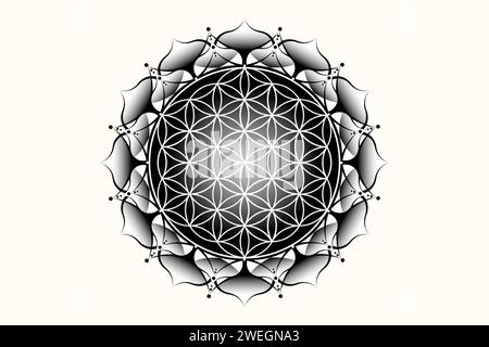 Heiliger Lotus yantra Mandala, mystische Blume des Lebens. Heilige Geometrie, grafisches Element des Vektorlogos isoliert. Mystic Icon Samed of Life, geometrisches Logo Stock Vektor