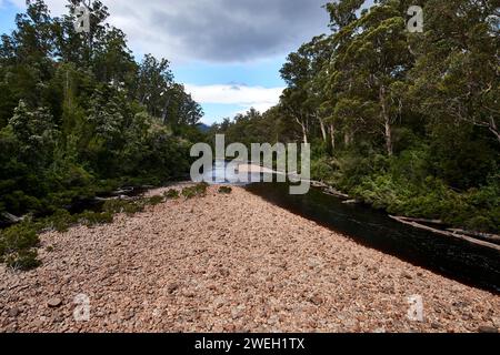 Ein ruhiger Bach schlängelt sich durch einen lebhaften grünen Wald voller majestätischer Bäume Stockfoto