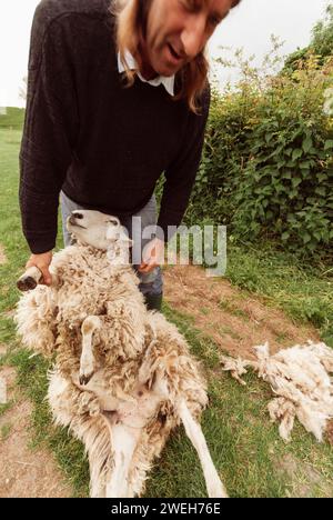 Ein Bauer kümmert sich um ein Schaf auf seinem Land in der Nähe von Avebury in Wiltshire, England Stockfoto