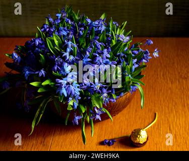 Strauß aus Schneeglöckchen in einer Keramikvase auf einem Holztisch im Morgenlicht der Sonne. Stockfoto
