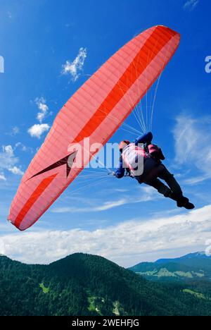 Ein Mann hängt in einem rot-weißen Gleitschirm hoch über den Wiesen bei Lenggries, Pilotenperspektive, Bayern, Deutschland, Europa Stockfoto