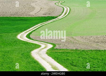 Eine gewundene Landstraße schlängelt sich im frühen Frühjahr durch grüne Wiesen und Felder bei Ebersberg, Bayern Stockfoto