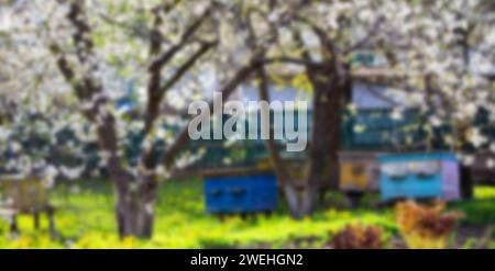 Blühender Garten mit Bienenhaus. Bienen entspringen unter den blühenden Apfelbäumen. Rote Tulpen auf dem Hintergrund von Bienenstöcken. Weichzeichner. Unscharfes Bild Stockfoto