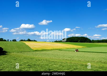 Landschaft mit Wiesen und Getreidefeldern, bei Altmühltal, Bauer, der eine Wiese mit einem Traktor mäht, Heu macht, blauer Himmel, weiße Wolken, Bayern, Deutschland Stockfoto