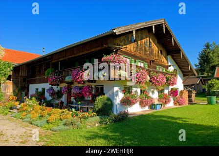 Altes traditionelles Bauernhaus mit vielen Blumenkästen bei Bad Tölz, Bayern, Deutschland, Europa Stockfoto