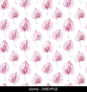 Aquarellmuster mit trockenen Athuriumblüten in Pastellfarben im Boho-Stil. Böhmisches Muster mit tropischen Pflanzen für die Gestaltung von Stoffen, Drucken, Stockfoto