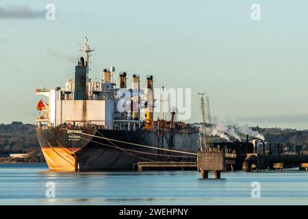 Das verhaftete Drogenschiff "M/V Matthew" liegt in Marino Point, Co. Cork, Irland. Stockfoto