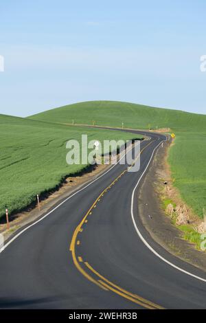 Gepflasterte zweispurige Straße, die im Frühjahr durch die sanften Hügel der Region Palouse führt Stockfoto