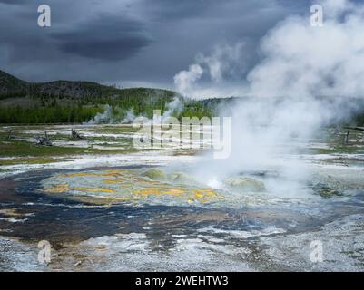 Jewel Geyser, Yellowstone National Park Stockfoto