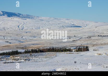 Zwei Wanderer in der Ferne laufen in Richtung Whernside in den Yorkshire Dales an einem wunderschönen Wintertag mit viel Schnee und hellblauem Himmel über dem Himmel. Stockfoto