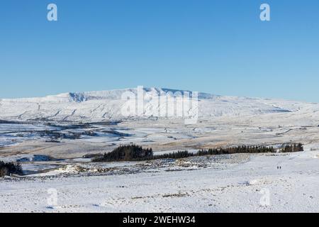 Zwei Wanderer in der Ferne laufen in Richtung Whernside in den Yorkshire Dales an einem wunderschönen Wintertag mit viel Schnee und hellblauem Himmel über dem Himmel. Stockfoto