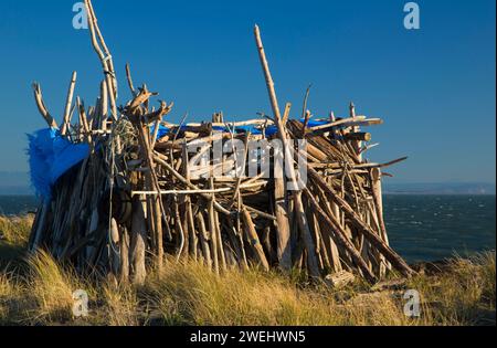 Strandschutz, Damon Point State Park, Washington Stockfoto