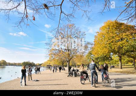 Menschen genießen die Herbstsonne auf dem Fahrrad und zu Fuß neben dem Serpentinsee mit Tauben, die in einem Baum ruhen. Hyde Park, London, Großbritannien. Wandern, Radfahren Stockfoto