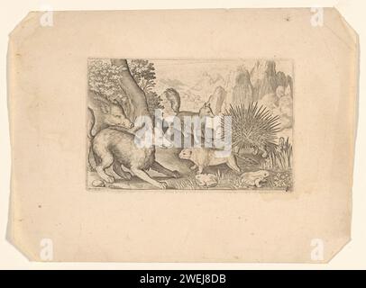 Wildschweine, Füchse, Biber, Stachelschweine und Frösche, Nicolaes de Bruyn, 1581 - 1656 Druckpapierstich Huftiere: Eber. Raubtiere, Raubtiere: fuchs. Nagetiere: biber. Andere Säugetiere: stachelschwein Stockfoto